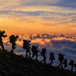 The Ultimate Guide to Traveling Sustainably | შენი ჰოროსკოპი