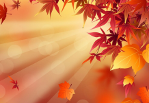 კვირის ასტროლოგიური პროგნოზი ზოდიაქოს ყველა ნიშნისთვის