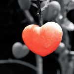 კვირის სასიყვარულო ჰოროსკოპი ყველა ზოდიაქოს ნიშნისთვის | შენი ჰოროსკოპი