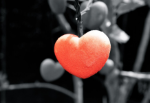 დეკემბრის სასიყვარულო პროგნოზი ყველა ნიშნისთვის