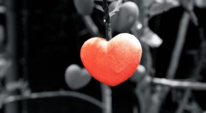 გულები და ზოდიაქოს ნიშნები — დეკემბრის სასიყვარულო პროგნოზი