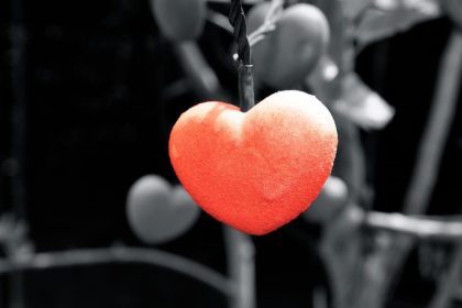 გულები და ზოდიაქოს ნიშნები — დეკემბრის სასიყვარულო პროგნოზი