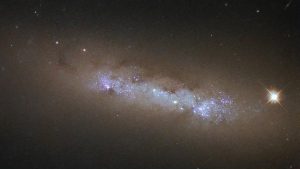 3636 ანგელოზური რიცხვი