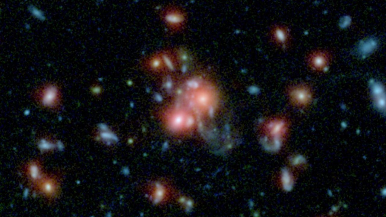 სახე ყავის ნალექში