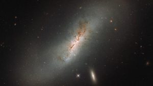 რას ნიშნავს რძე სიზმარში