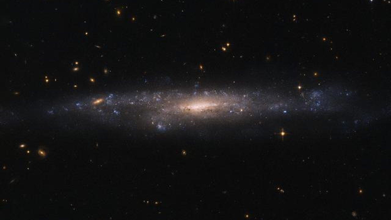 3131 ანგელოზური რიცხვი