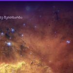 ღუზა ყავის ნალექში — სიმბოლოს მნიშვნელობა ფინჯანში | შენი ჰოროსკოპი