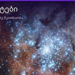 ხე-ტოტები ყავის ნალექში — სიმბოლოს მნიშვნელობა | შენი ჰოროსკოპი