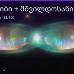 კირჩხიბი და მშვილდოსანი თავსებადობა — 53/100 | შენი ჰოროსკოპი