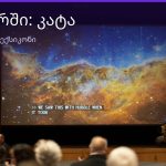 რას ნიშნავს კატა სიზმარში — ახსნა და მნიშვნელობა | შენი ჰოროსკოპი