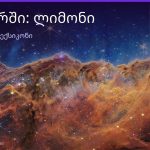 რას ნიშნავს ლიმონი სიზმარში — ახსნა და ნიშნები | შენი ჰოროსკოპი