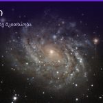 ვეშაპი ყავის ნალექში — სიმბოლოს მნიშვნელობა | შენი ჰოროსკოპი