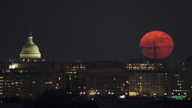 დღის ჰოროსკოპი 17 ოქტომბერი 2026 — მოთმინების ძალა