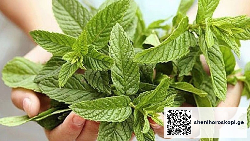 პიტნის კონა კარზე — დაცვა ბოროტი თვალისგან | შენი ჰოროსკოპი