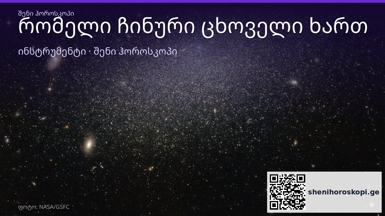 რომელი ჩინური ცხოველი ხართ — ჩინური ჰოროსკოპი დაბადების წლით | შენი ჰოროსკოპი